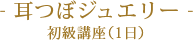 - 耳つぼジュエリー -初級講座（1日）